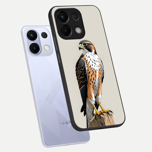Clever Eagle phone case For Oppo K13 5G showing premium glass back cover with detailed artwork