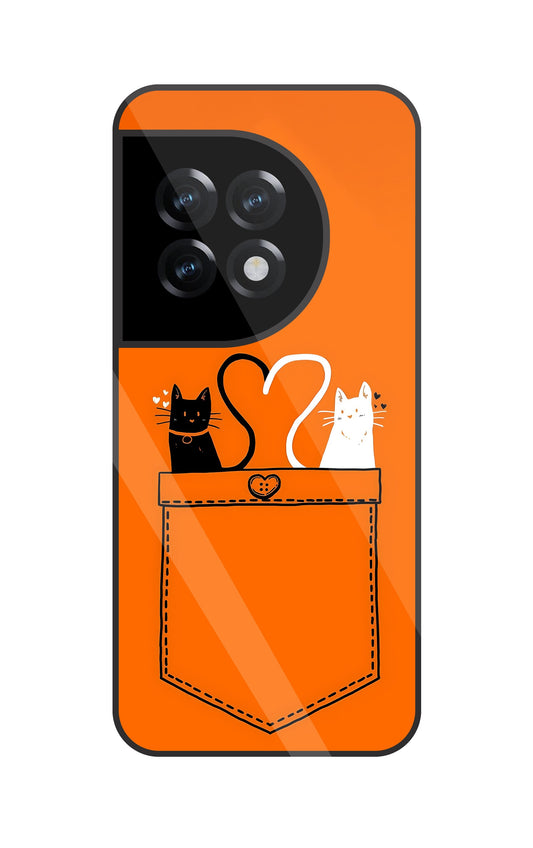 Black & White Cat In Pocket Glass Case For OnePlus 11R