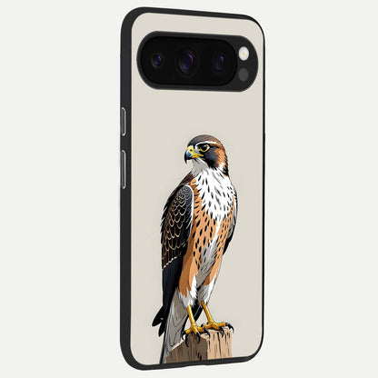  Clever Eagle back cover For Google Pixel 10 Pro slim fit glass case with vibrant aesthetic design
