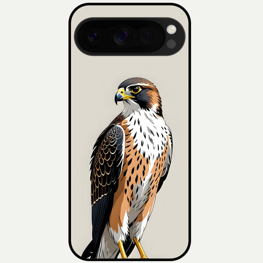  Clever Eagle Glass Case For Google Pixel 10 Pro XL back cover – full design glossy printed glass finish