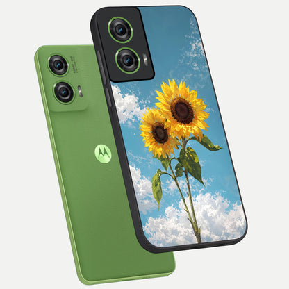  Sunlit Daisy Glow phone case For Moto Edge 50 Fusion showing premium glass back cover with detailed artwork