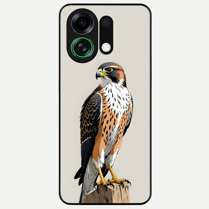  Clever Eagle Glass Case For Oppo K13 Turbo back cover – full design glossy printed glass finish