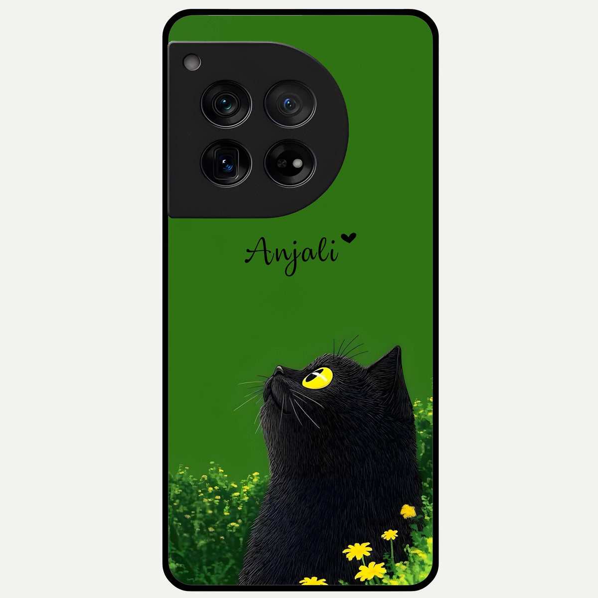  Emerald Cat Custom Name Glass Case For OnePlus 12 back cover – full design glossy printed glass finish