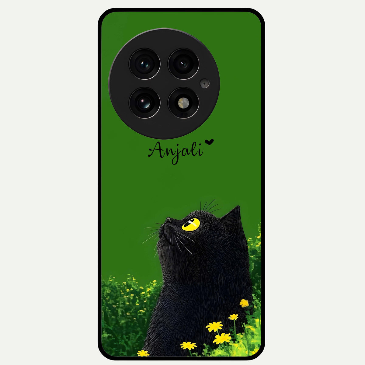  Emerald Cat Custom Name Glass Case For OnePlus 13 back cover – full design glossy printed glass finish