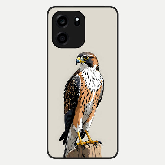  Clever Eagle Glass Case For OnePlus Nord CE 6 back cover – full design glossy printed glass finish