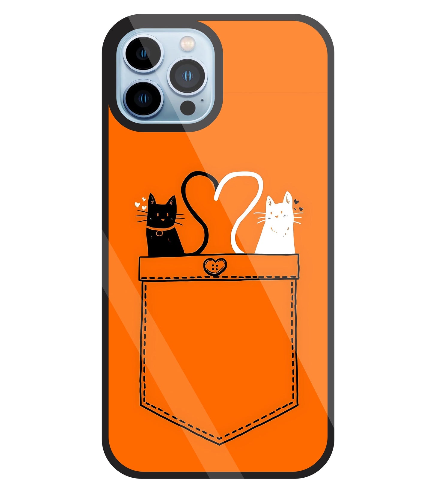Black And White Cat In Pocket Glass Case For Apple iPhone 13 Pro