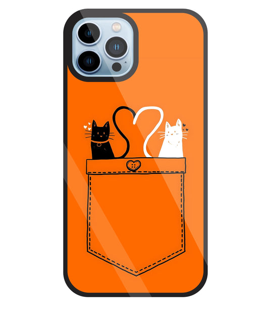 Black And White Cat In Pocket Glass Case For Apple iPhone 13 Pro