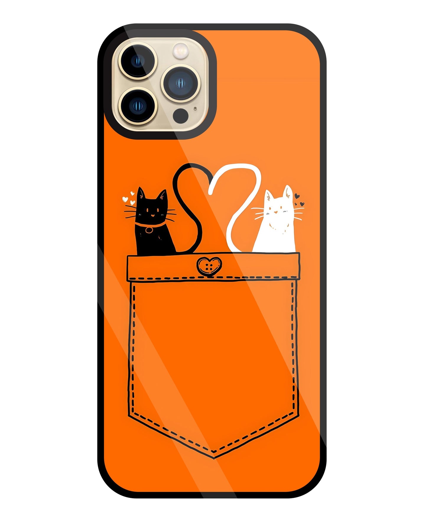 Black And White Cat In Pocket Glass Case For Apple iPhone 13 Pro Max