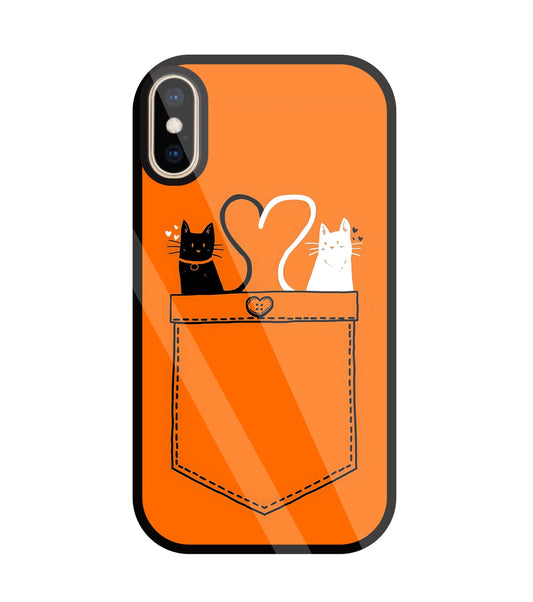 Black And White Cat In Pocket Glass Case For Apple iPhone Xs