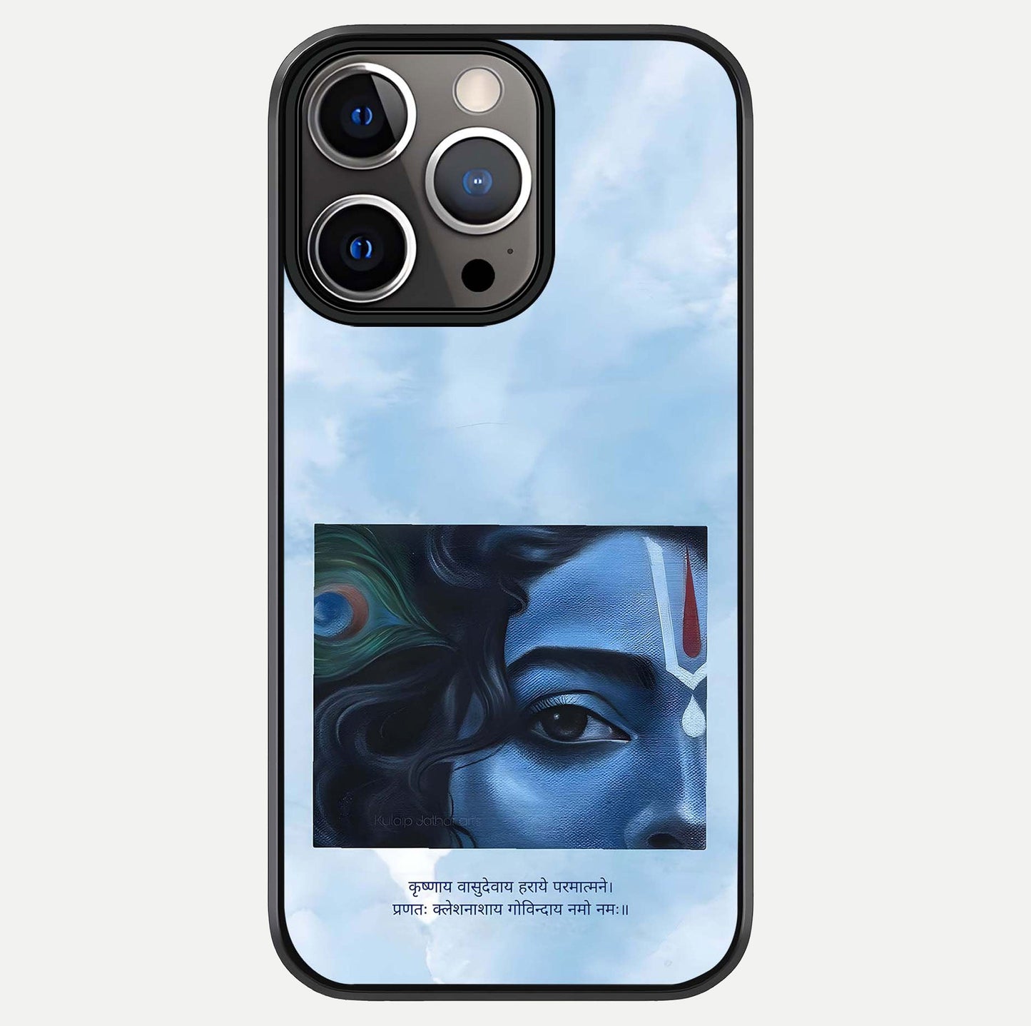 Spring Wing Garden Glass Case For iPhone 13 Pro by Custom World