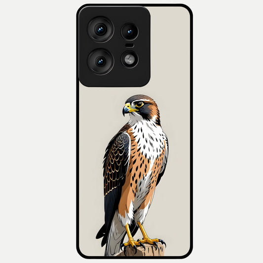  Clever Eagle Glass Case For Moto Edge50 Pro back cover – full design glossy printed glass finish