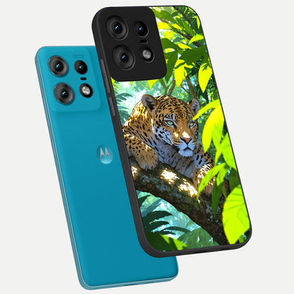  Leopard in Jungle phone case For Moto Edge50 Pro showing premium glass back cover with detailed artwork